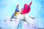 Krypto (Prototype Shown) View 13