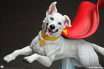 Krypto (Prototype Shown) View 9