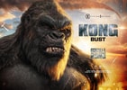 Kong (Prototype Shown) View 2