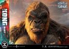 Kong (Prototype Shown) View 8