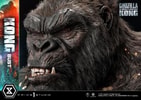 Kong (Prototype Shown) View 14