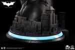 Catwoman (Selina Kyle) (Prototype Shown) View 15