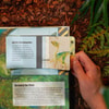 Jurassic World: The Ultimate Pop-Up View 3