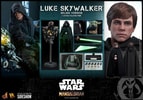 Luke Skywalker (Deluxe Version) Collector Edition (Prototype Shown) View 18