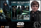 Luke Skywalker (Deluxe Version)