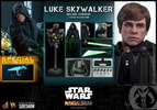 Luke Skywalker (Deluxe Version) (Special Edition) Exclusive Edition (Prototype Shown) View 19