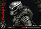 Jungle Hunter Predator
