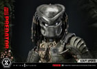 Jungle Hunter Predator