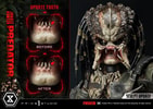 Jungle Hunter Predator