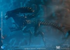 Alien Queen (Battle Damaged) (Prototype Shown) View 1