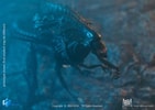 Alien Queen (Battle Damaged) (Prototype Shown) View 4
