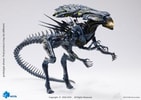 Alien Queen (Battle Damaged) (Prototype Shown) View 8