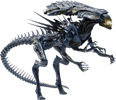 Alien Queen (Battle Damaged) (Prototype Shown) View 9