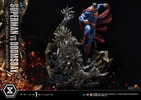 Superman VS Doomsday Collector Edition View 40