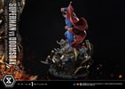 Superman VS Doomsday Collector Edition View 42
