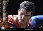 Superman VS Doomsday Collector Edition View 31