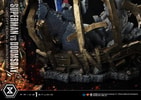Superman VS Doomsday Collector Edition View 50