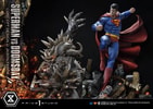 Superman VS Doomsday Collector Edition View 52