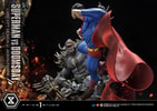 Superman VS Doomsday Collector Edition View 54