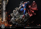 Superman VS Doomsday Collector Edition View 55