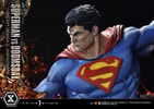 Superman VS Doomsday Collector Edition View 29