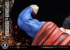 Superman VS Doomsday Collector Edition View 3