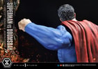 Superman VS Doomsday Collector Edition View 5