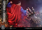 Superman VS Doomsday Collector Edition View 5