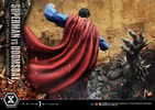 Superman VS Doomsday Collector Edition View 8