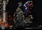 Superman VS Doomsday Collector Edition View 11