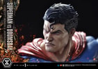 Superman VS Doomsday Collector Edition View 14