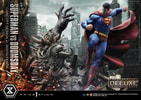 Superman VS Doomsday (Deluxe Version) View 29