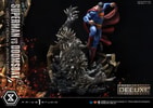 Superman VS Doomsday (Deluxe Version) View 41