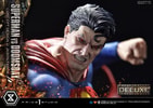 Superman VS Doomsday (Deluxe Version) View 22