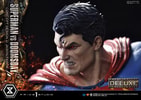 Superman VS Doomsday (Deluxe Version) View 3