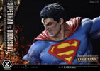 Superman VS Doomsday (Deluxe Version) View 7
