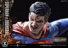 Superman VS Doomsday (Deluxe Bonus Version) Collector Edition View 9