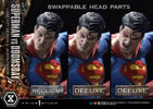 Superman VS Doomsday (Deluxe Version) View 19