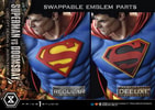 Superman VS Doomsday (Deluxe Bonus Version) Collector Edition View 21