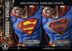 Superman VS Doomsday (Deluxe Version) View 20