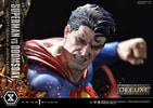 Superman VS Doomsday (Deluxe Version) View 15