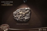 Fossil- Prototype Shown