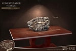 Fossil