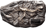 Fossil