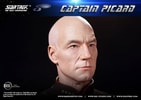 Captain Picard (Prototype Shown) View 9