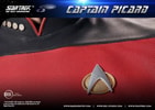 Captain Picard (Prototype Shown) View 13