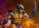 Wolverine View 31