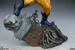 Wolverine View 5