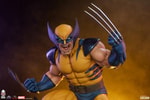 Wolverine View 3