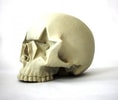 Ron English "Star Skull"- Prototype Shown